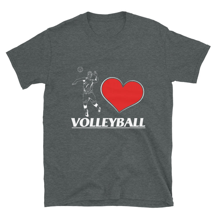 volleyball love - Leonard Ernst